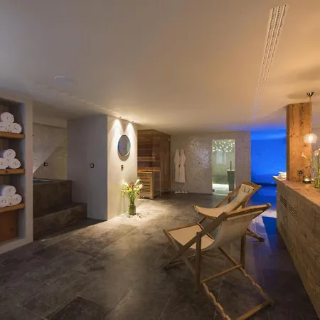 Chalet Mckinley Apartment